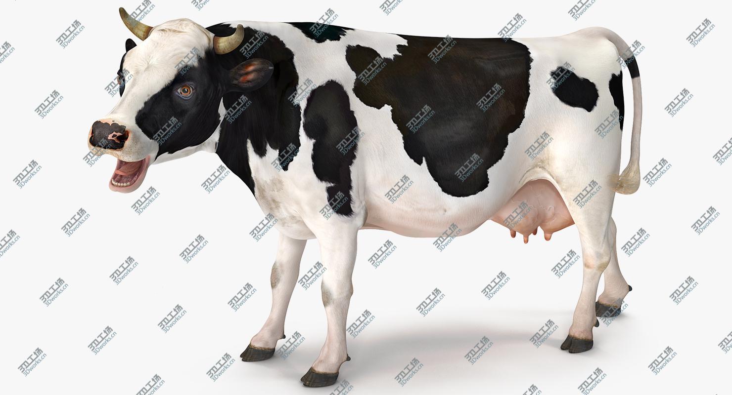 images/goods_img/202104021/3D Dairy Cow Rigged model/2.jpg